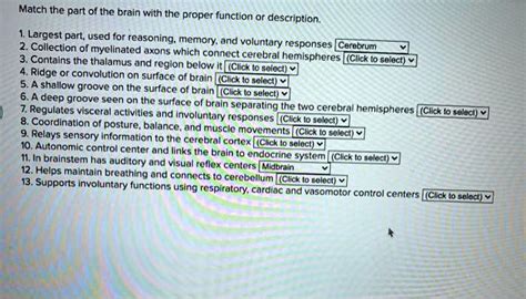 SOLVED Match The Part Of The Brain With The Proper Function Or