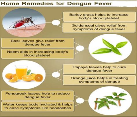 What Is Dengue Fever And Its Treatment