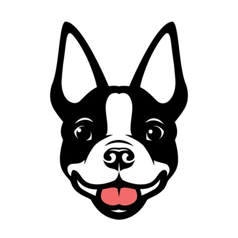 Dog Boston Terrier Cartoon Royalty Free Images Stock Photos And Pictures