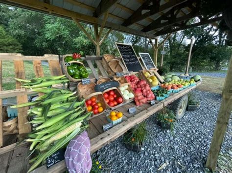 Spring Creek Farm And Produce Shenandoah Valley