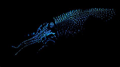 Glowing squid is a real animal in real life (Firefly squid) : r/Minecraft