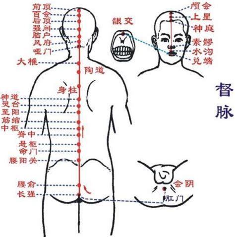 督脉艾灸穴位艾灸top网