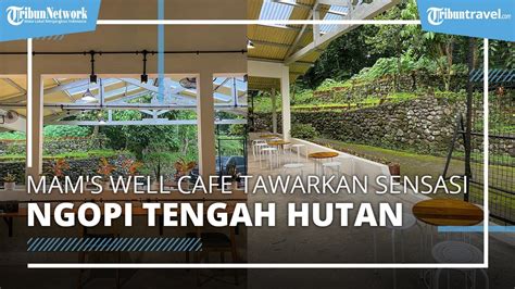 Nongkrong Di Mams Well Cafe Di Jogja Coffee Shop Hidden Gem Tawarkan