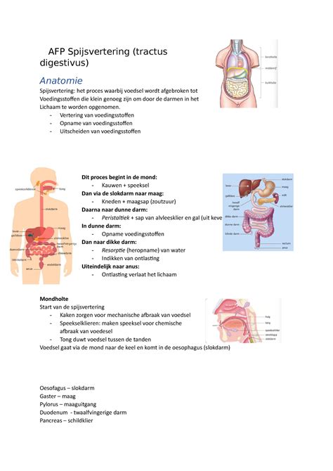 AFP Spijsvertering Vertering Van Voedingsstoffen Opname Van