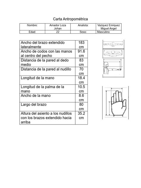 Carta Antropométrica De Brazo Pdf