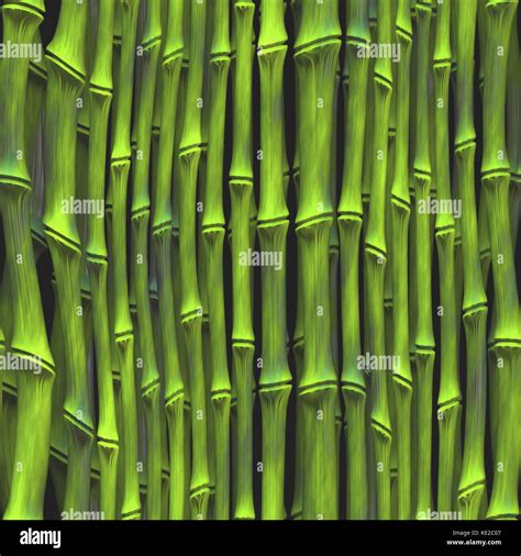 Dense Jungle Vegetation Stock Photo Alamy