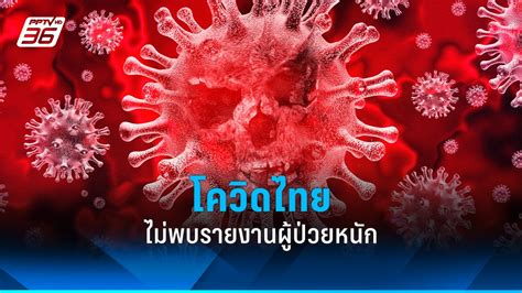 โควิด 19 รอบสัปดาห์ ผู้ติดเชื้อเพิ่ม 504 ราย ไม่พบรายงานป่วยหนัก Pptvhd36