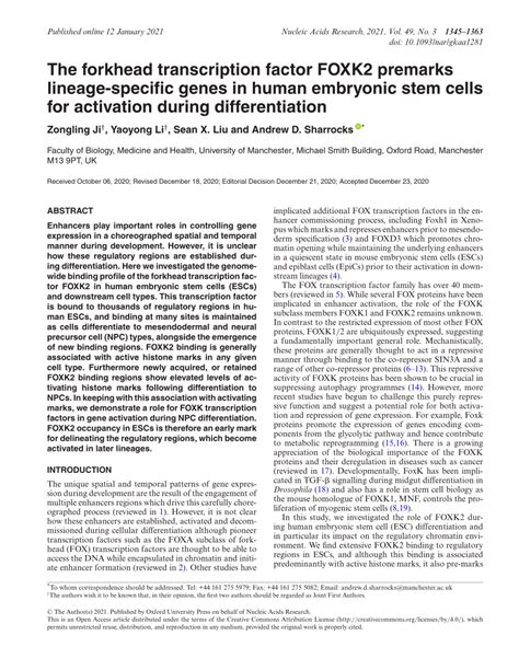 PDF The Forkhead Transcription Factor FOXK2 Premarks Lineage Specific