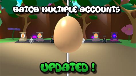 How To Hatch With Multiple Accounts Updated Bubble Gum Simulator Youtube