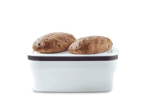 Mediashop Tupperware Breadsmart Large Brotkasten White Saturn