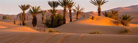 Luxury Moroccan Sahara Tours, Private & Tailor-made | Jacada Travel