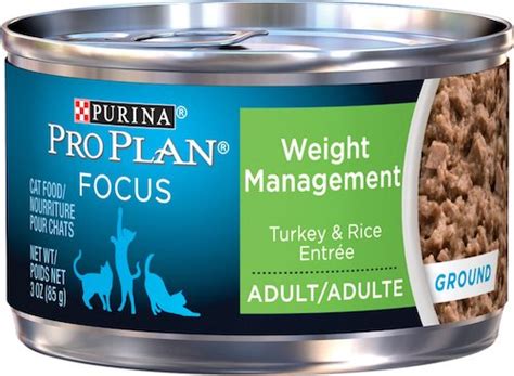 Cat Food For Weight Loss The Best Foods For Overweight Cats