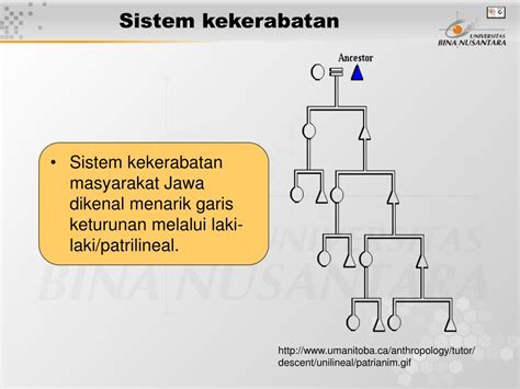 Sistem Kekerabatan Di Indonesia Homecare24