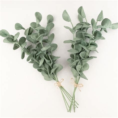 Felt Eucalyptus Leaf Stems Eucalyptus Bouquet Eucalyptus - Etsy