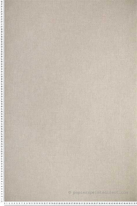 Papier peint Uni Toile beige XXL de Casélio