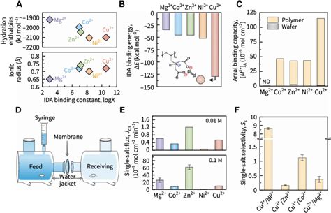 Transport Of Similar Divalent Cations Through Polyelectrolyte