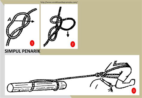 Tugas Pramuka Sejarah Berdirinya Pramuka Dan Tali Temali Copy Paste