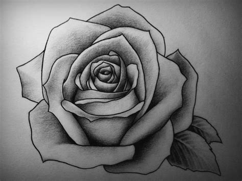 Rose Rose Drawing Tattoo Roses Drawing Tattoo Sketches Tattoo