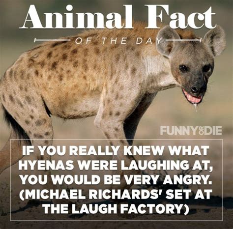 25 Funny Animal Facts That Might Make You Pee a Little