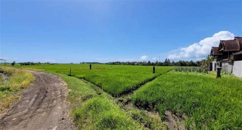 Dijual Tanah View Sawah Terasering Laut Sunset Bukit Dan Gunung