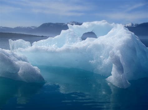 Columbia Glacier Sea Kayaking Day Trips! – Anadyr Adventures