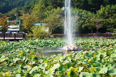 울산 가볼만한곳 당일치기 여행 코스 추천해요 ♥ 네이버 블로그