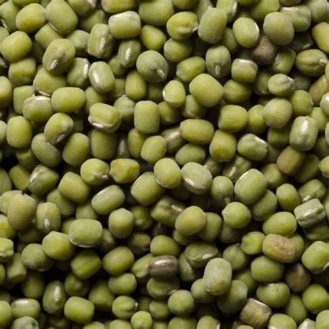 Moong Green Gram 10 Kg Pan India High In Protein At Rs 120 Kg In