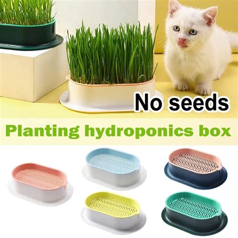 Set Pet Cat Sprout Dish Growing Pot Hydroponic Plant Cat Grass