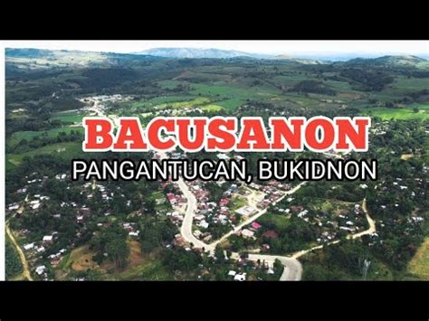 BACUSANON, PANGANTUCAN, BUKIDNON AERIAL VIEW - YouTube