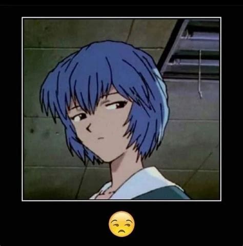 Pin De Soraa En Random Rei Ayanami Imágenes Hilarantes De Foto A Caricatura