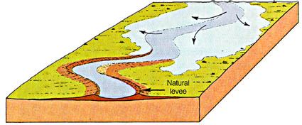 Meander Formation and Features of Meandering Streams