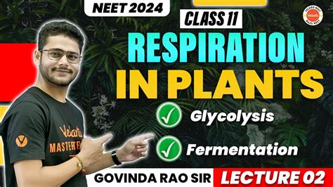 Respiration In Plants Class 11 Chapter 14 Glycolysis And Fermentation Neet Biology Neet 2024