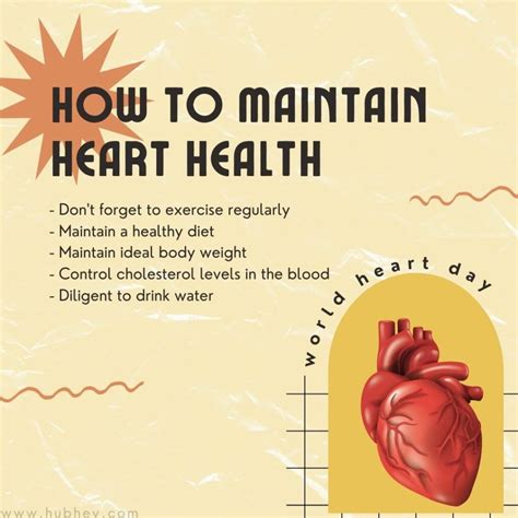 5 Healthy Heart Tips Hubhey For Everyone