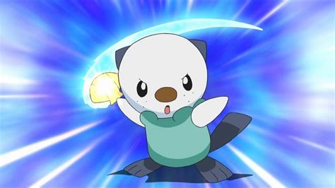 Oshawott | The Biogate Roleplay Wiki | FANDOM powered by Wikia