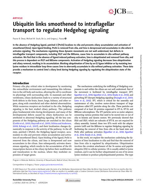 Pdf Ubiquitin Links Smoothened To Intraflagellar Transport To