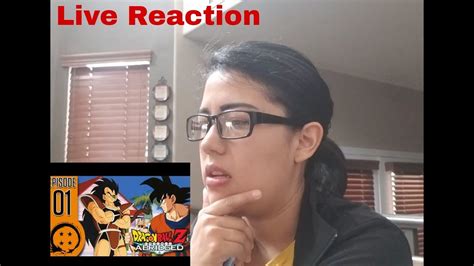 Dragaon Ball Z Abridged Episode 1 Reaction Youtube