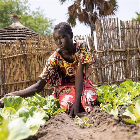 Womens Day In South Sudan Agriculture Is The Engine Of Womens Empowerment