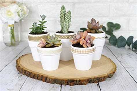 My Urban Crafts Pcs White Terracotta Clay Pots Inch Small