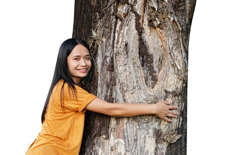 Free Concept Of Saving The World Asian Woman Hugging A Tree 20952153