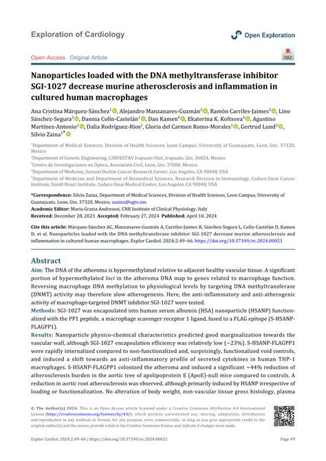 Pdf Nanoparticles Loaded With The Dna Methyltransferase Inhibitor Sgi