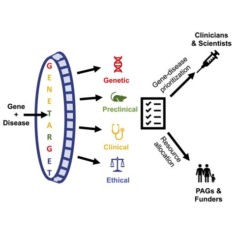 GENE TARGET A Framework For Evaluating Mendelian Neurodevelopmental