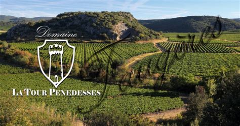 La Tour Penedesses Domaine Viticole Faug Res Languedoc