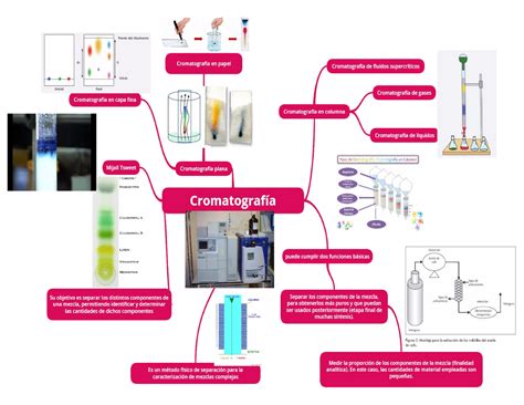 Mapa Mental Cromatografia Bioqu Mica Celular Studocu