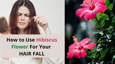 How To Use Hibiscus Flower For Your Hair Best Hair Pack For Hair Growth 100 Results Youtube