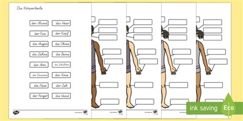 German Body Parts Worksheet - Body Parts Labelling Activity