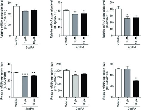 Effect Of 2ccpa On Lps Induced Cytokines And Cox 2 Mrna Expression And