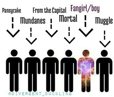 Book Fandoms Book Memes Fangirl