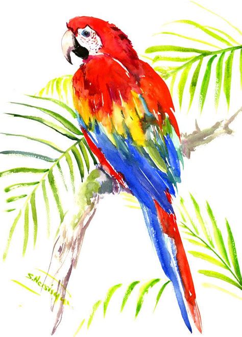 Scarlet Macaw Original Watercolor Painting Bright Tropical Etsy