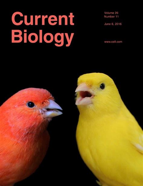 Pdf Cover Genetic Basis For Red Coloration In Birds