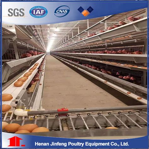 H Type Automatic Egg Poultry Farms Battery Layer Chicken Cages China